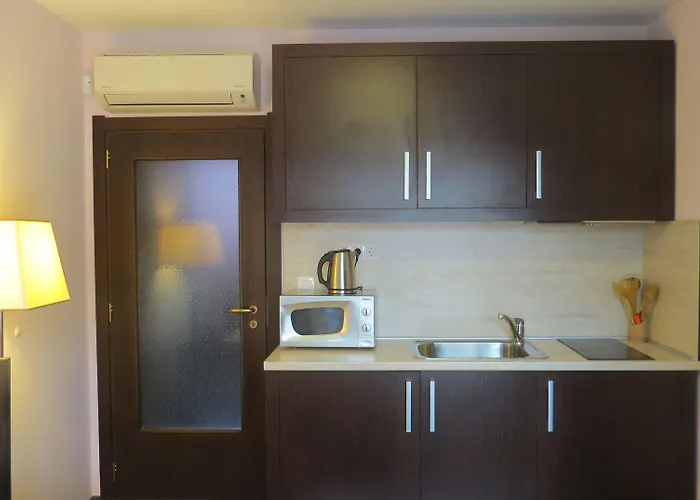 Old House In Kapana Area 普罗夫迪夫